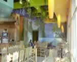 Restaurant Ceiling and Walls Murals